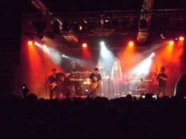Pink Tones - Pink Floyd Tribute Show 4