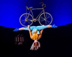 Cirque du Soleil - Kurios - OVO - Alegría 6