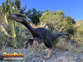 DinoPark Algar 5