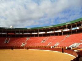Plaza de Toros de La Condomina 2