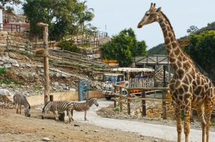 Selwo Aventura Estepona 3