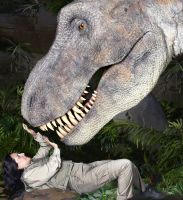 Territorio Dinópolis 5