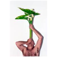 Transplantar - Pep Noguera 3