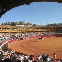 Plaza de Toros de Aranjuez 6