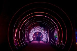 Naturaleza Encendida en Madrid 5