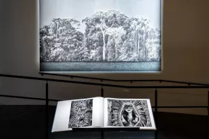 AMAZÔNIA, la Gran Exposición de Sebastião Salgado 8