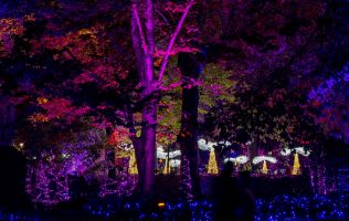 Naturaleza Encendida en Madrid 3