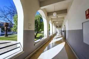 Centro Cultural “Pablo Ruiz Picasso” 7