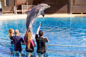 Selwo Marina Benalmádena 7