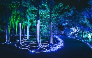 Naturaleza Encendida en Madrid 17