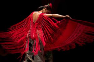 La Casa del Flamenco Danza Tradicional en Sevilla 3