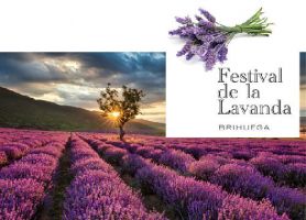Festival de la Lavanda Brihuega  1