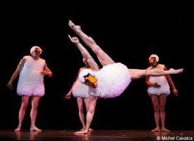Tutu - Chicos Mambo 3