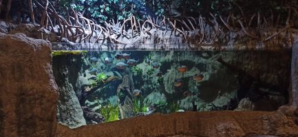 Bioparc Acuario de Gijón 6