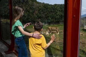 Selwo Aventura Estepona 19