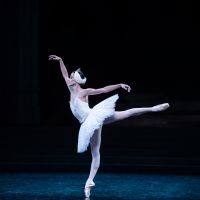 Gala de Ballet Étoiles de la Ópera de París 3