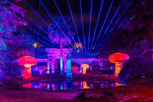 Naturaleza Encendida en Madrid 6