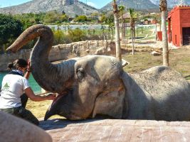 Terra Natura  - Benidorm 6