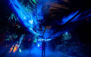 Naturaleza Encendida en Madrid 19