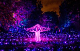 Naturaleza Encendida en Madrid 10