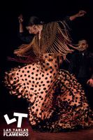 Las Tablas Flamenco 3