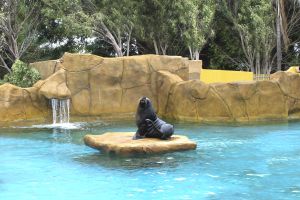 Selwo Marina Benalmádena 12