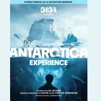 Antarctica Experience 1