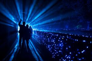 Naturaleza Encendida - Real Alcázar de Sevilla 6