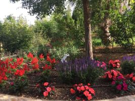 Jardín Botánico - Ecoherbes Park 2