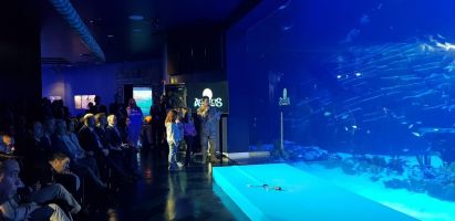 Atlantis Aquarium de Madrid 5