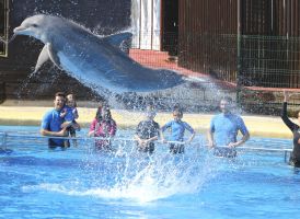 Selwo Marina Benalmádena 11