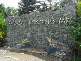 Crocodile Park 3