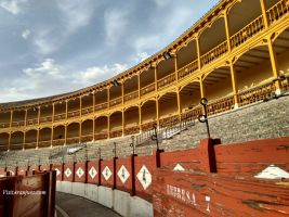 Plaza de Toros de Aranjuez 4
