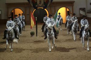 Cómo bailan los caballos andaluces 1