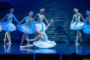 El lago de los cisnes &ndash; Ballet Cl&aacute;sico Internacional 6