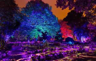 Natura Encesa Barcelona 2