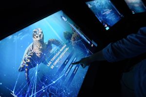 Atlantis Aquarium de Madrid 12