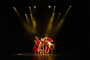 101 Dálmatas, The Show 5