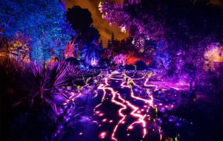 Naturaleza Encendida en Madrid 7