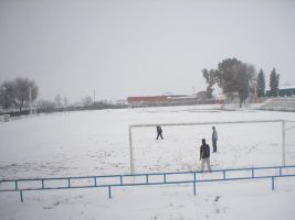 Campo de Futbol Alberche 1