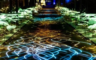 Naturaleza Encendida Zaragoza 4