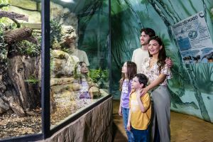 Selwo Marina Benalmádena 21