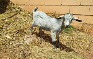 La Maleza Parque de Fauna 19