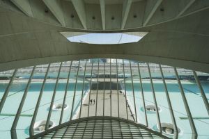 Visita guiada al Palau de les Arts Reina Sofía 3