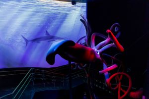 Atlantis Aquarium de Madrid 18