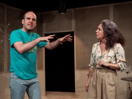 Un peral entra por la ventana 4