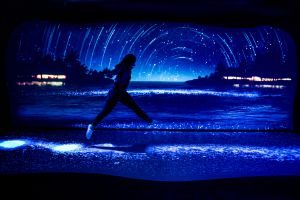 Sea Life Benalmadena 14