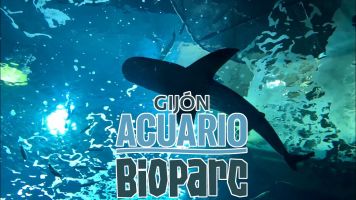 Bioparc Acuario de Gijón 1