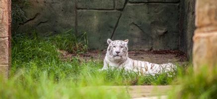 Rancho Texas Park  1