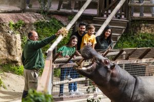 Selwo Aventura Estepona 21